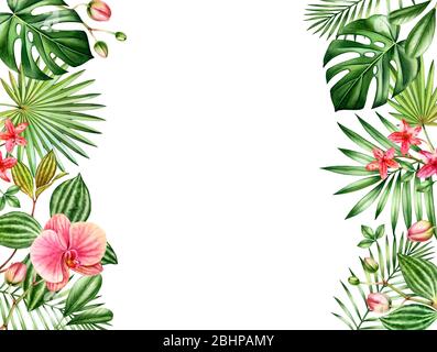 Aquarell floralen Hintergrund. Horizontaler Rahmen mit Platz für Text. Blumenrandumrandungen an den Seiten. Rote Orchideenblüten und Palme, Monstera Blätter Stockfoto