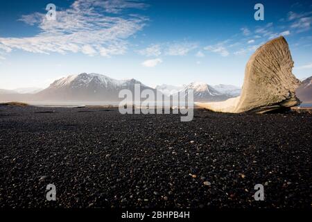 Die schwarze Sandspieß und die bergige Kulisse in Eystrahorn, Island Stockfoto