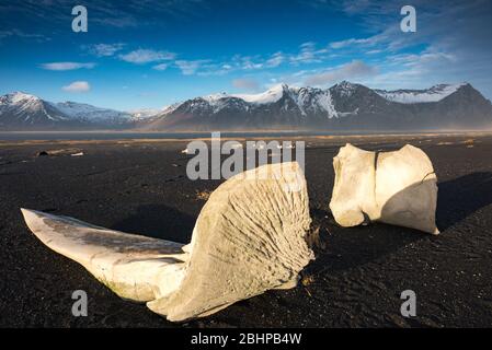 Die schwarze Sandspieß und die bergige Kulisse in Eystrahorn, Island Stockfoto