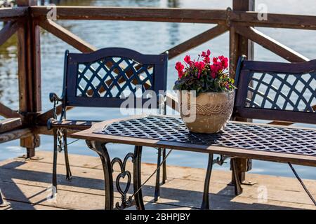 Rote Alpenveilchen in erdbener Topfblüte auf schönem Holztisch draußen unter Sonnenlicht, verschwommener Wasserhintergrund, sonniger Herbsttag bei Porto Lagos, Nordgriechenland Stockfoto