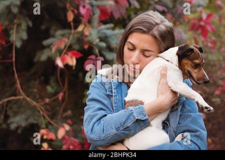 Hund und Besitzer gehen Herbst Park. Reinrassige Jack Russel Terrier Hund im Freien in der Natur auf Gras am Herbsttag. Verspielte Stimmung. Lustige expressive Freizeit. Züchter und sein Haustier bei der Ausbildung. Haustiere Freunde. Stockfoto