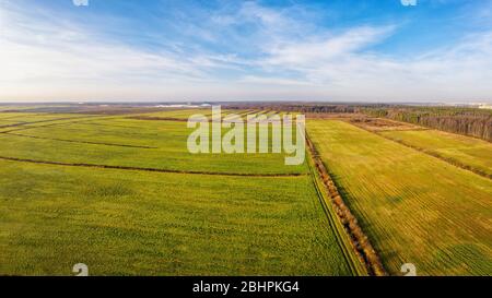 Grüne Felder Luftansicht. Luftlandschaft mit landwirtschaftlichen Feldern und blauem Himmel bei sonnigen Tag Stockfoto