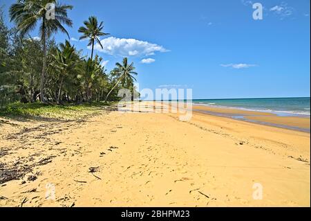 Trinity Beach an der Ostküste Australiens Stockfoto