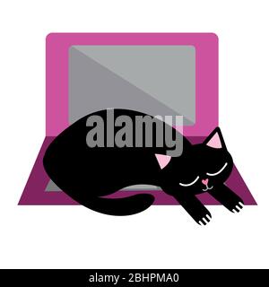 Nette Cartoon Haustier Katze und Laptop Vektor-Illustration. Sleepy schwarz Kitty Snoozes auf der Tastatur und stört Business-Office-Workflow. Isolierte Hand Stock Vektor