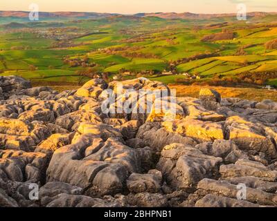 Abends Licht auf Kalksteinnarben bei Newbiggin Crags auf Farleton Fell Cumbria. In der Ferne die fernöstlichen Fjälls des Lake District. Stockfoto