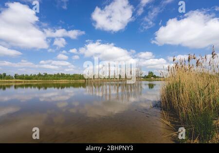 Reflexionen an einem sonnigen Tag im Biesbosch, Niederlande. Stockfoto