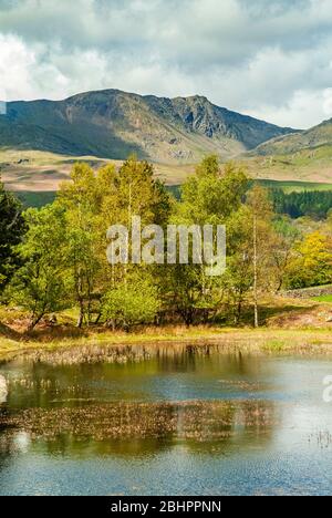 Kelly Hall Tarn in der Nähe von Torver im Lake District, mit Dow Crag dahinter Stockfoto