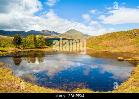 Kelly Hall Tarn in der Nähe von Torver im Lake District, mit Dow Crag und Coniston Old man dahinter Stockfoto