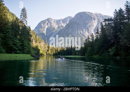 Ein Ökotourismus-Wildnisführer in einem Zodiac-Boot bringt Touristen auf einen abgelegenen Fluss im Great Bear Rainforest, British Columbia, Kanada. Stockfoto