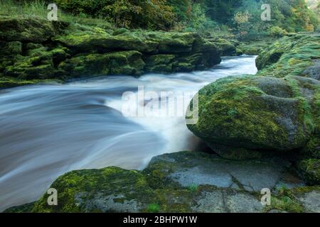 Die Strid am Fluss Wharfe in Wharfedale, North Yorkshire Stockfoto