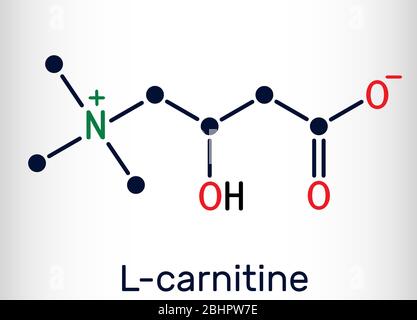 L-Carnitin, Levocarnitin, Carnitin, C7H15NO3-Molekül. Chemische Formel. Vektorgrafik Stock Vektor