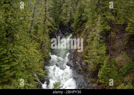 Die Schlucht und Stromschnellen des Gordon River im gemäßigten Regenwald an der Westküste von Vancouver Island, Port Renfrew, British Columbia, Kanada. Stockfoto
