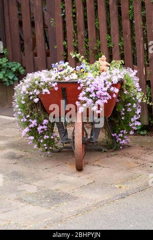 Blumen in einer alten roten Schubkarre aus Eisen. Stockfoto