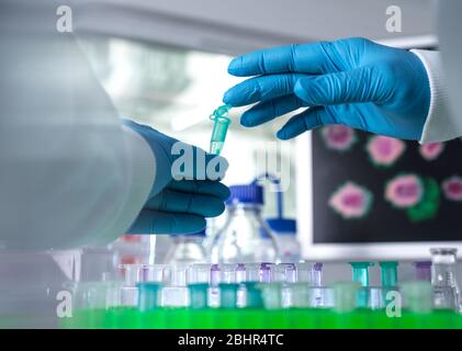 Pharmaforschung, Wissenschaftler Vorbereitung einer Probenflasche für analytische Tests im Labor in der DNA-, Medizin- und Pharmakologie-Forschung verwendet. Stockfoto