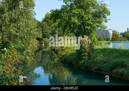 Der New River in Woodberry Down, in der Nähe von Stoke Newington, im Norden Londons, im Sommer Stockfoto