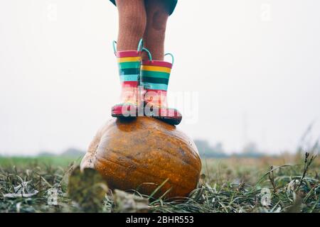 Die Füße eines Kindes in streifigen Gummistiefeln stehen auf einem Kürbis auf einem Feld. Stockfoto