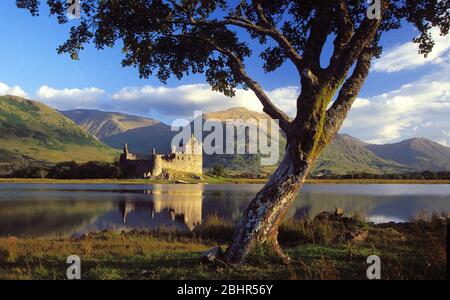 BLICK ÜBER LOCH AWE AUF KILCHURN CASTLE MIT ELEGANTER ERLE IM VORDERGRUND IN SCHÖNEM WARMEN NACHMITTAGSLICHT Stockfoto