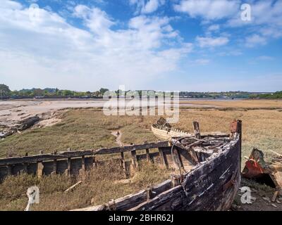 Alte Holzschiffe, Boote. Wracks im Fluss, Torridge Mündung, in der Nähe von Bideford, Devon, Großbritannien. Mit Schilfbeeten, Tide out. Stockfoto