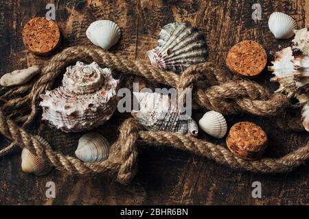 Seil und Muscheln auf alten Holz verbrannt Tisch oder Brett für Hintergrund. Stockfoto