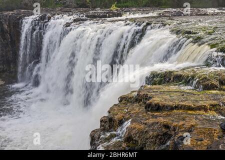 Haruru Falls, Waitangi River, in der Nähe von Paihia, Bay of Islands, Northland Region, North Island, Neuseeland Stockfoto