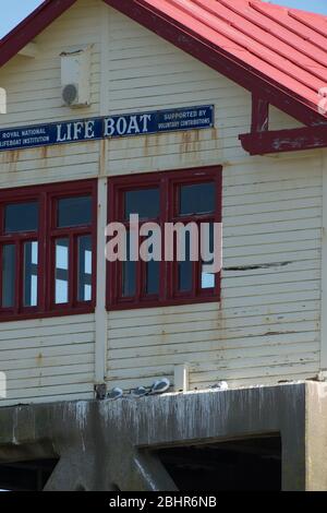 Kittichwecken nisten auf Mumbles Pier Stockfoto