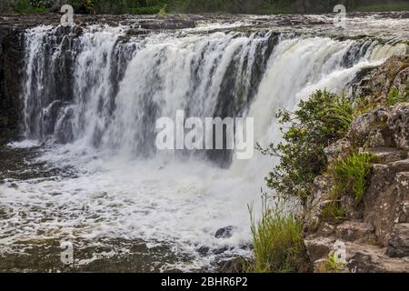 Haruru Falls, Waitangi River, in der Nähe von Paihia, Bay of Islands, Northland Region, North Island, Neuseeland Stockfoto