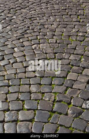 Rom, Italien. Eine gepflasterte römische Straße. Stockfoto