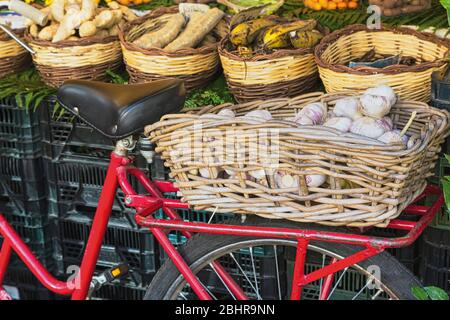 Rom, Italien. Obst- und Gemüsestand auf dem täglichen Markt im Campo dei Fiori. Rotes Fahrrad mit gewebtem Korb voller Knoblauch. Stockfoto