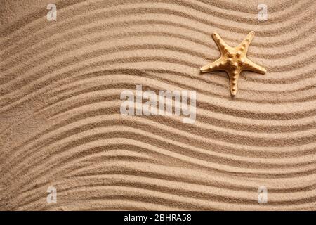 Seesterne an einem Sommerstrand auf strukturiertem Sand. Für Text platzieren. Sommer Hintergrund. Sommerzeit. Stockfoto