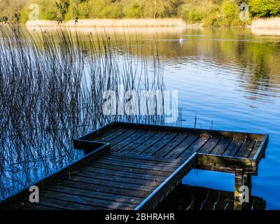 Angelpontons im Coate Water in Swindon. Stockfoto