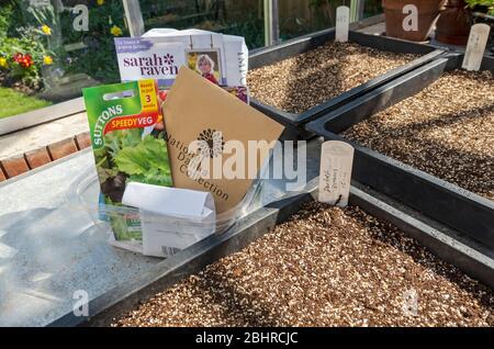 Nahaufnahme Auswahl von Päckchen Samen und Samenschalen Töpfe mit Blumenkompost gefüllt bereit für die Aussaat in einem Gewächshaus im Frühjahr England Großbritannien Stockfoto