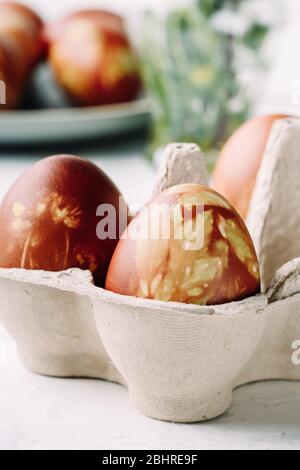 Natürlich gefärbt mit Zwiebelschalen und Frühlingspflanzen Ostereier in Kartonage, Frühjahrspflanzen, Zero Waste Konzept, nachhaltiges Leben Stockfoto