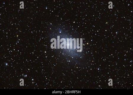 Triangulum Galaxie M33 mit Nebel, offenem Cluster, Kugelsternhaufen, Sternen und Raumstaub Stockfoto