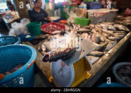 Fischgeschäft auf dem Samut Sakhon Markt, Bangkok, Thailand. Stockfoto