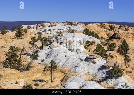 Landschaft aus weißen und gelben Steinhügel am El Morro National Monument in New Mexico Stockfoto