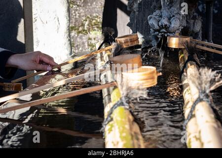 Japan, Hand Putting hölzernen Dipper bei Temizuya, Chozuya, Wasserwaschung Pavillon für eine zeremonielle Reinigung Ritus vor dem Betreten Schrein, Tempel Stockfoto