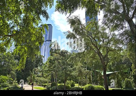 Wolkenkratzer durch Parkvegetation und anfahrenden Motorroller Fahrer im Botanischen Garten von Brisbane gesehen Stockfoto