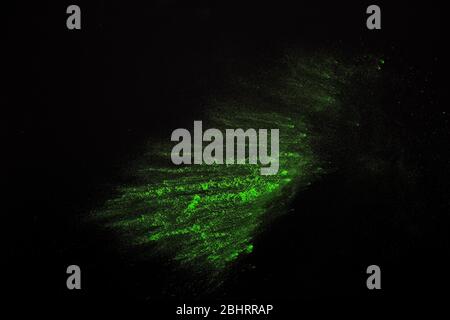 Grüne abstrakte Burst. Explosion von Farbpulver. Stockfoto