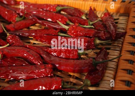 Rote scharfe Chilischoten, die in der Sonne auf einem Korbtablett trocknen Stockfoto