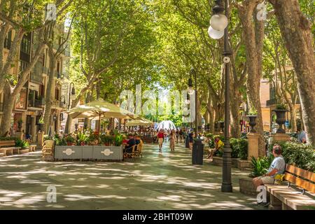 Outdoor Cafés auf der baumgesäumten Straße Passeig del Born, Mallorca, Spanien Stockfoto