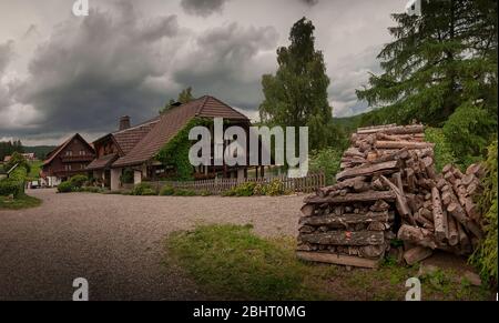 Landschaft in Schluchsee, Schwarzwald, Deutschland Stockfoto