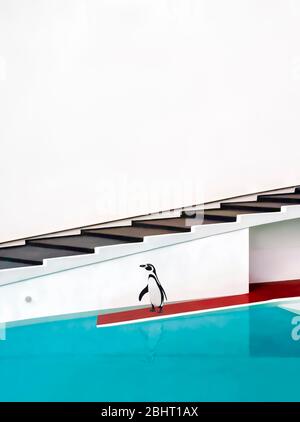 Aquarell-Stil Illustration eines Pinguins in einem Pool, basierend auf dem berühmten Lubetkin-Design im London Zoo Stockfoto