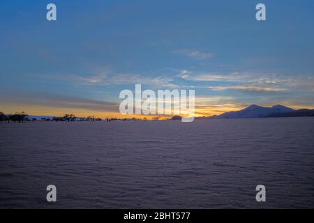 Weite Freiflächen bei Sonnenaufgang in der Wüste Stockfoto