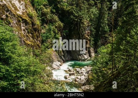 Gebirgsfluss oder Bach in einem tiefen Canyon grünen Wald british columbia kanada. Stockfoto