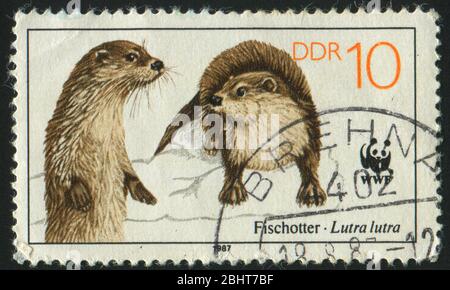 DEUTSCHLAND- UM 1987: Briefmarke gedruckt von Deutschland, zeigt zwei Otter, um 1987. Stockfoto