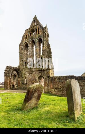 Überreste des südlichen Querschiffs der Kilwinning Abbey, erbaut von benediktinermönchen aus Tironensian Ende 1100 und zerstört durch protestantische Reformation Stockfoto