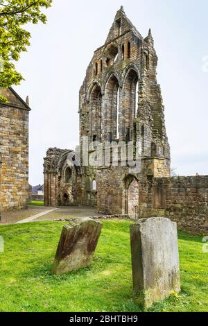 Überreste des südlichen Querschiffs der Kilwinning Abbey, erbaut von benediktinermönchen aus Tironensian Ende 1100 und zerstört durch protestantische Reformation Stockfoto