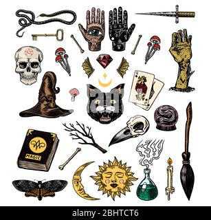 Mystische magische Boho-Elemente. Hexerei astrologische Set. Esoterische Alchemie Skizze für Tattoo. Palmstry und Schädel, die Hand eines toten Mannes. Gezeichnet Stock Vektor