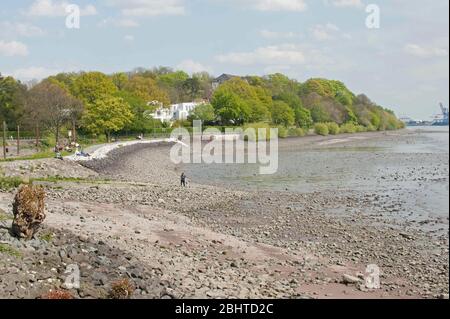 Elbe in Hamburg, Niedrigwasser , Flussbett trocken aus, am 27. April 2020 Stockfoto