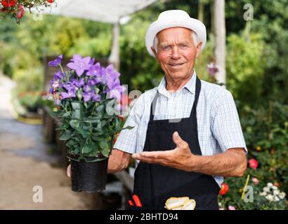 Portrait von älterer Mann seine Lieblingsbeschäftigung von Blumen im Gewächshaus Anbau genießen. Stockfoto